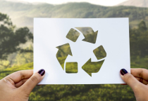 TEM NHÃN SẢN PHẨM VÀ CÁC VẤN ĐỀ VỀ MÔI TRƯỜNG